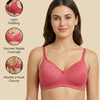 Cotton Padded Bra – Soft Breathable Everyday Comfort | ve1gib-3k.myshopify.com